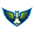 Dallas Wings